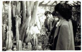 คณะนาฏศิลป์ไทยผกาวลีในอินเดีย