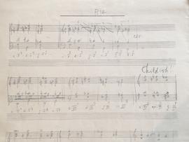 สมุดจดที่มีเขียนคอมเม้นต์จาก Prof. Klaus Pringsheim ว่า "Childish"