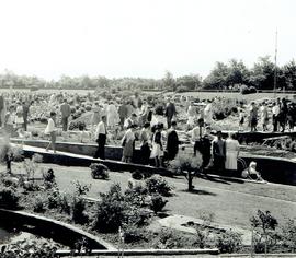 คณะนาฏศิลป์ไทยผกาวลีในต่างแดน