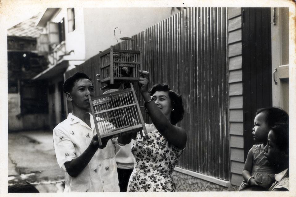 Original Digital object not accessible