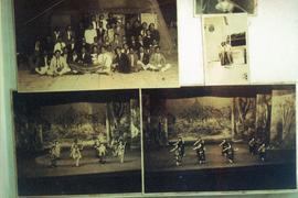 การแสดงนาฏศิลป์ของกรมศิลปากร